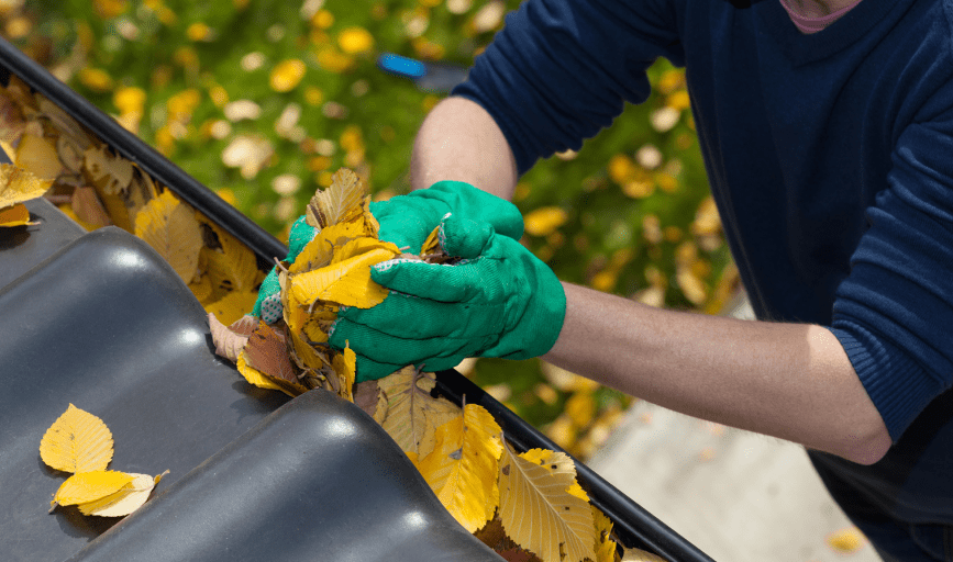 Reeves Window Cleaning